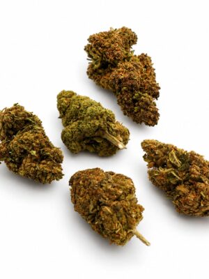 Cbd wiet kopen Cbd wiet kopen