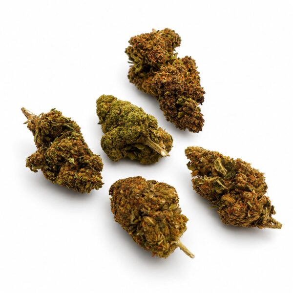 Cbd wiet kopen Cbd wiet kopen