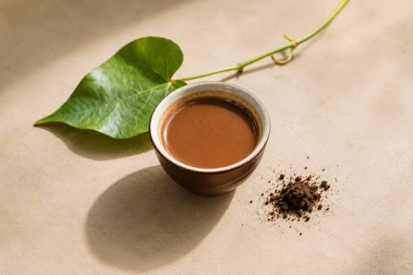 ayahuasca ayahuasca